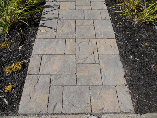 Stamped Concrete Staining in Renton